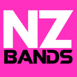 NZBands Pink Supporter Cube Design