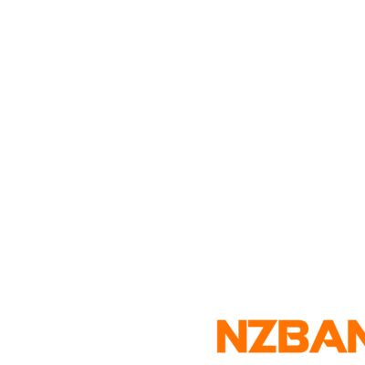 NZBands - BAND MEMBER url 3000 Thumbnail