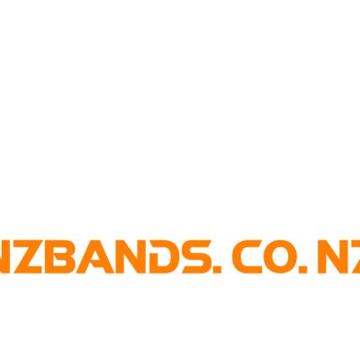 NZBands - GUITARIST url Thumbnail
